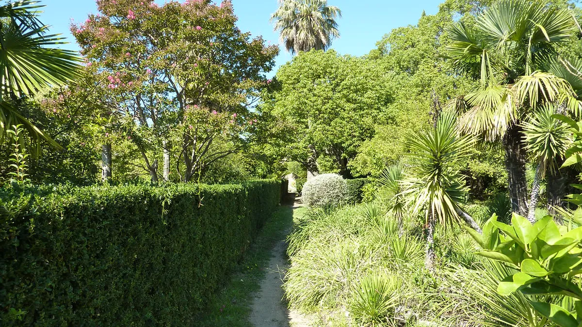 Top Things to See in Trsteno Arboretum in Dubrovnik